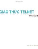 Bài giảng Mạng máy tính nâng cao - Chương 6: Giao thức Telnet