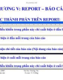 Bài giảng MS Access 2003: Chương 5 - Report – Báo cáo