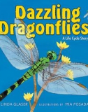 Dazzling Dragonflies