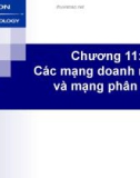 Bài giảng Chương 11: Các mạng doanh nghiệp và mạng phân tán