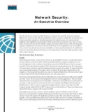 Network Security: An Executive Overview