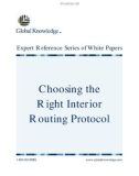 Choose Routing Protocol