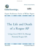 White Paper_Rogue AP2