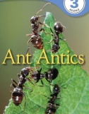 DK Readers: Ant Antics 3