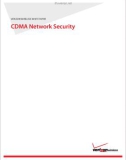 Verizon Wireless White PaPer: CDMA Network Security