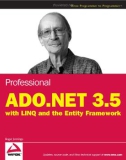 Professionnal ADO.Net 3.5 with LINQ and the Entity Framework