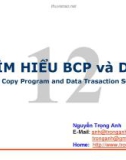 TÌM HIỂU BCP và DTS