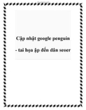 Cập nhật google penguin - tai họa ập đến dân seoer