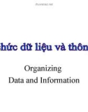 Bài giảng Nhập môn hệ thống thông tin - Bài 5: Tổ chức dữ liệu và thông tin