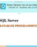 MS SQL - Database Programming