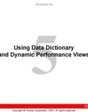 Using Data Dictionary and Dynamic Performance Views