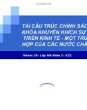 Thuyết trình: Tái cấu trúc chính sách tài khóa khuyến khích sự phát triển kinh tế - một trường hợp của các nước châu Phi