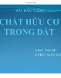 Bài báo cáo: Chất hữu cơ trong đất