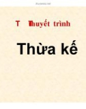 Thuyết minh: Thừa kế