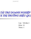 Thuyết trình: Tài trợ doanh nghiệp và thị trường hiệu quả