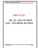 Tiểu luận Thiết lập và thẩm định dự án đầu tư: Dự án sân cỏ nhân tạo – sân bóng đá mini