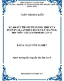 Khóa luận tốt nghiệp Hóa học: Khảo sát thành phần hóa học cây phèn phyllanthus reticulatus poir. họ thầu dầu (euphorbiaceae)