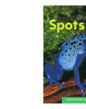 Spots - Heather Gray