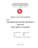 Khóa luận tốt nghiệp: Thị trường bán lẻ hàng tiêu dùng ở Việt Nam: thực trạng và giải pháp