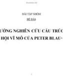 Bài tập nhóm: Hướng nghiên cứu cấu trúc xã hội vĩ mô của Peter blau