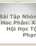 Bài tập nhóm Học phần Xã hội học tội phạm: Luật Hình sự