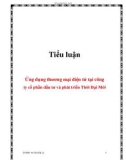 Tiểu luận: Ứng dụng thương mại điện tử tại công ty cổ phần đầu tư và phát triển Thời Đại M