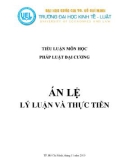 Bài tiểu luận: Án lệ lý luận và thực tiễn