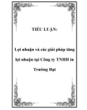 TIỂU LUẬN: Lợi nhuận và các giải pháp tăng lợi nhuận tại Công ty TNHH in Trường Đạt