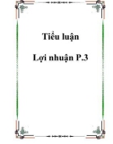 Tiểu luận Lợi nhuận