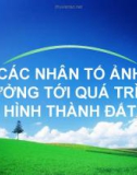 Báo cáo: Các nhân tố ảnh hưởng tới quá trình hình thành đất