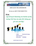 Tiểu luận: Lập kế hoạch Marketing cho Beeline tại thị trường Việt Nam vào năm 2011 thông qua gói cước mới Big2