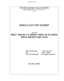 Luận văn THỰC TRẠNG VÀ TRIỂN VỌNG XUẤT KHẨU PHẦN MỀM Ở VIỆT NAM 