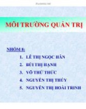 Tiểu luận: Môi trường quản trị