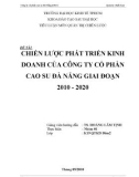 Tiểu luận: Chiến lược phát triển kinh doanh của Công ty cổ phần cao su Đà Nẵng (DRC) giai đoạn 2010 - 2020