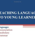 Lectures Module 2: Teaching language to young learners - Nguyen Thi Hoai Minh