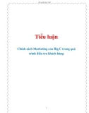 Tiểu luận: Chính sách Marketing của Big C trong quá trình điều tra khách hàng