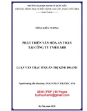 Luận văn Thạc sĩ Quản trị kinh doanh: Phát triển văn hóa an toàn tại Công ty TNHH ABB