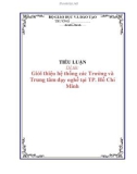 TIỂU LUẬN: Giới thiệu hệ thống các Trường và Trung tâm dạy nghề tại TP. Hồ Chí Minh