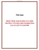 Tiểu luận: PHÂN TÍCH ẢNH HƯỞNG CỦA MÔI TRƯỜNG VĂN HÓA ĐẾN MARKETING TẠI AI CẬP VÀ NAM PHI