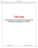 Ảnh hưởng của môi trường dân số TQ tới hoạt động marketing quốc tế của Biti'sTiểu luậnẢnh hưởng của môi trường dân số Trung Quốc tới hoạt động marketing quốc tế của Bitis1 Marketing quốc tế Nhóm 6 – Lớp D07QTKD2.Ảnh hưởng của môi trường dân số TQ t