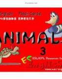 Học từ vựng bằng hình ảnh - Animals 3