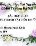 BÀI TIỂU LUẬN MÔN VI SINH VẬT MÔI TRƯỜNG