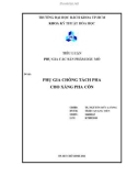 Tiểu luận: PHỤ GIA CHỐNG TÁCH PHA CHO XĂNG PHA CỒN