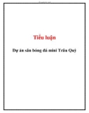 Tiểu luận: Dự án sân bóng đá mini Trâu Quỳ