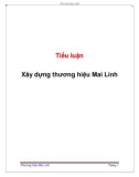 Tiểu luận : Xây dựng thương hiệu Mai Linh