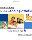 Tiểu luận: Kế hoạch marketing sản phẩm Anh ngữ thiếu nhi ILA