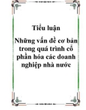 Những vấn đề cơ bản trong quá trình cổ phần hóa các doanh nghiệp