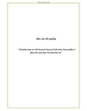 Báo cáo tốt nghiệp: ' Giải pháp nâng cao chất lượng tín dụng tại Ngân hàng Nông nghiệp và phát triển nông thôn chi nhánh Hà Nội '