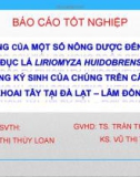 Báo cáo tốt nghiệp: Ảnh hưởng của một số nông dược đến sâu non ruồi đục lá Liriomyza huidobrensis và ong ký sinh của chúng trên cây khoai tây tại Đà Lạt - Lâm Đồng