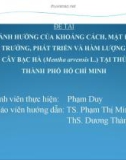 Báo cáo tốt nghiệp: So sánh ảnh hưởng của khoảng cách, mật độ trồng đến sinh trưởng, phát triển và hàm lượng tinh dầu của cây bạc hà (Mentha arvensis L.) tại Thủ Đức Thành phố Hồ Chí Minh